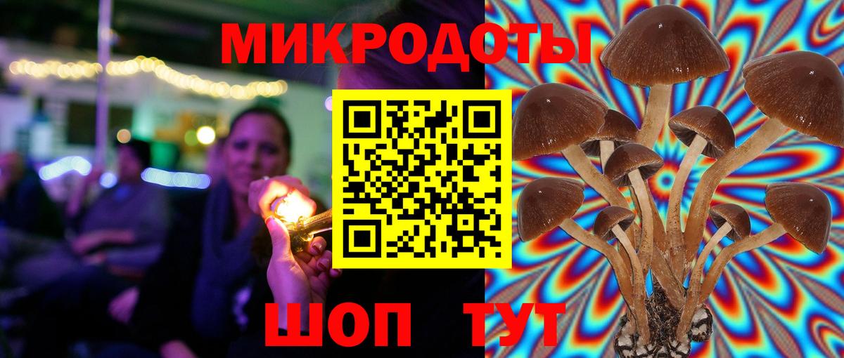 Псилоцибиновые грибы GOLDEN TEACHER  Галлюциногенные грибы Magic Shrooms  Фролово  наркота  Вход с VPN 